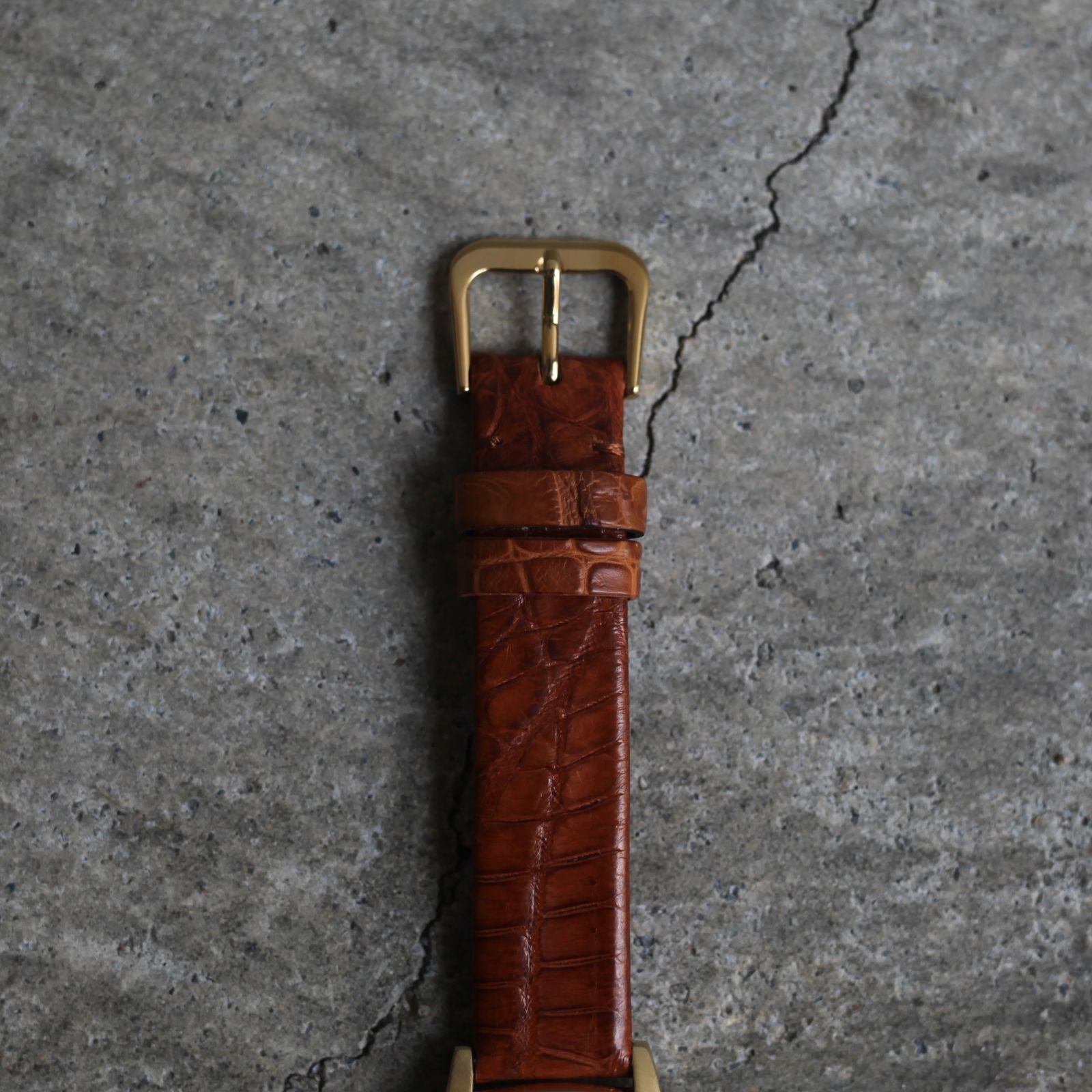 【残り一点】Coussin 12 Croco(WOMEN/GOLD×BROWN)