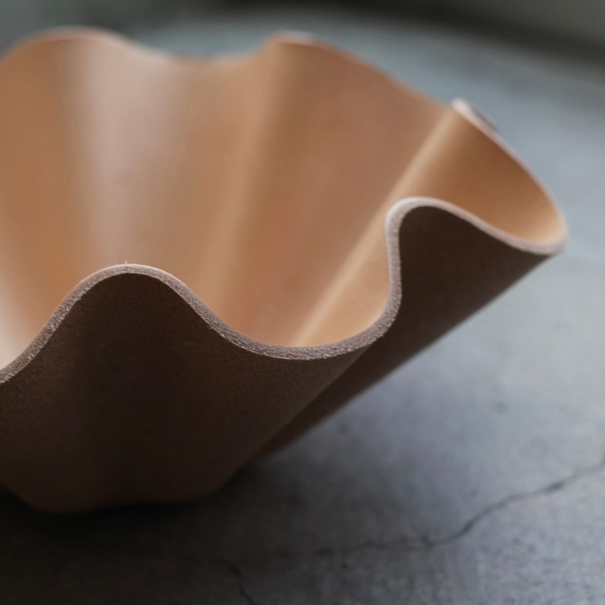 【残り一点】Shell Bowl Big(NATURAL)