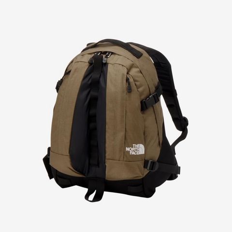 【残り一点】Kinkajou