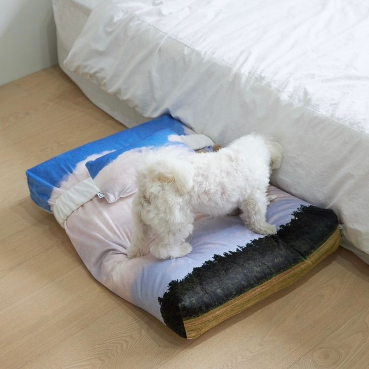 【残り一点】Jeju Landscape Pet Cushion