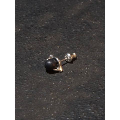 【お取り寄せ注文可能】The Claw Round Earring