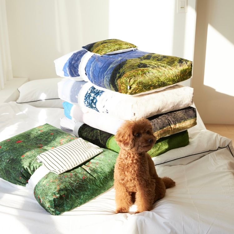 【再販売通知受付可能】Swiss Enjoy Pet Cushion