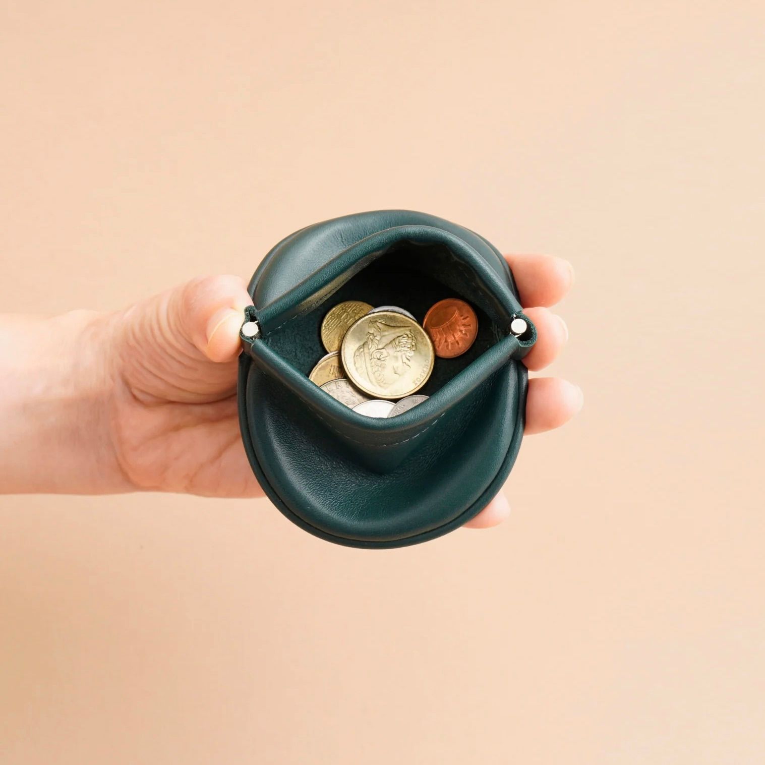 【残り一点】Round Coin Case