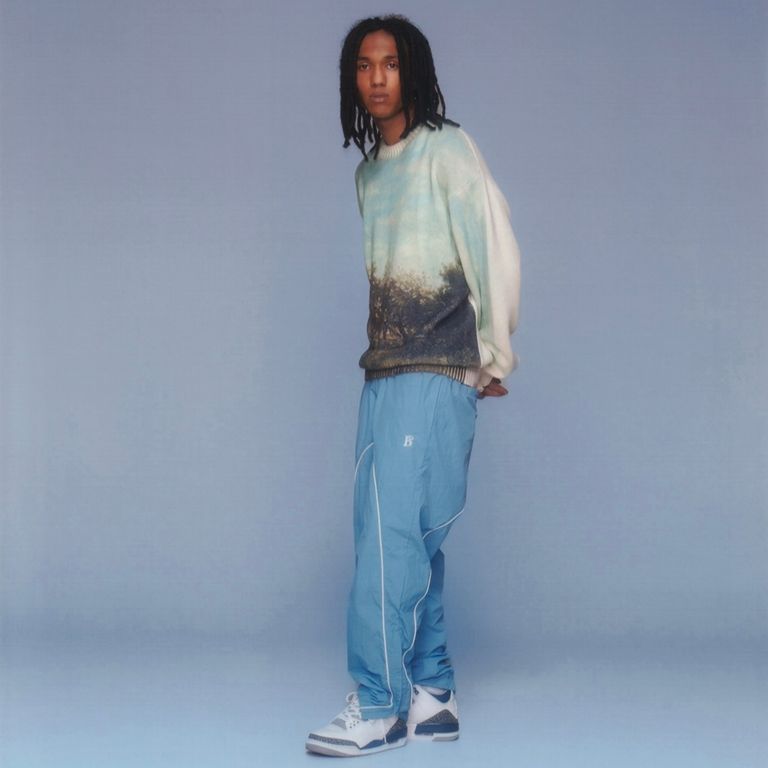 BoTT - 【残り一点】Apple Printed Knit Sweater | ACRMTSM ONLINE STORE
