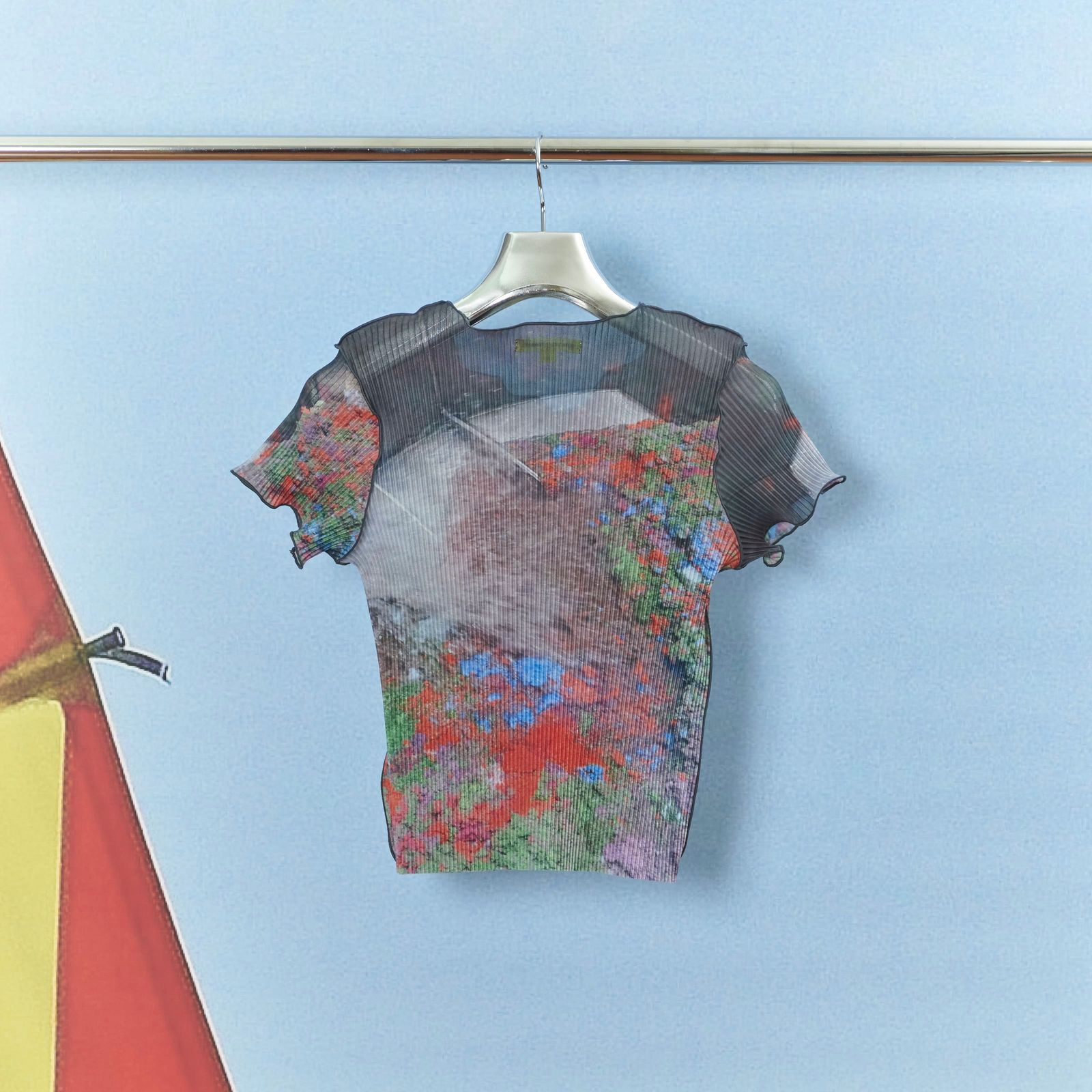 【残り一点】Sheer Graphic Tiny Top