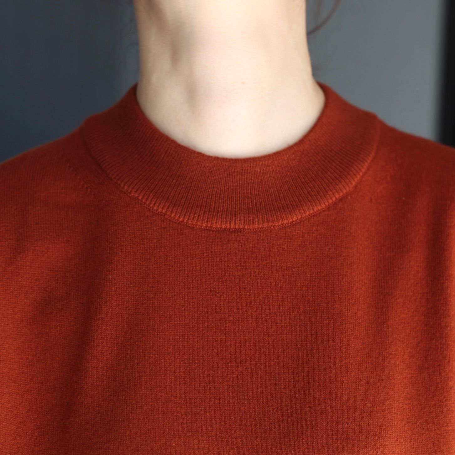 【残り一点】Mock Neck P/O
