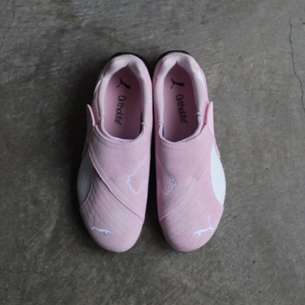 【残り一点】Slip Cat