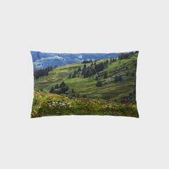 【残りわずか】Swiss Enjoy Pillow Cover