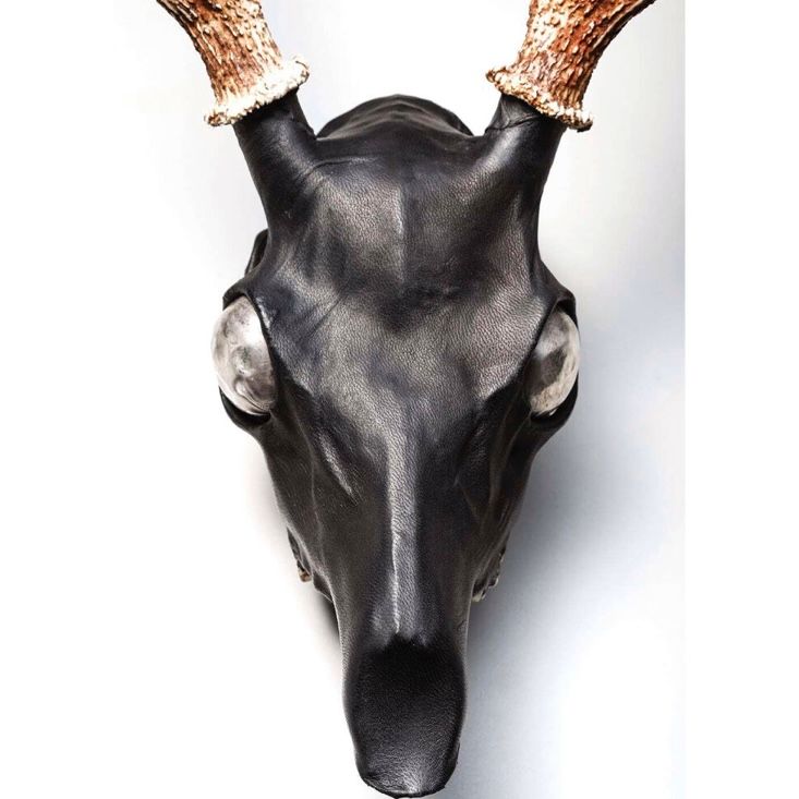 【お取り寄せ注文可能】Revive Deer Head