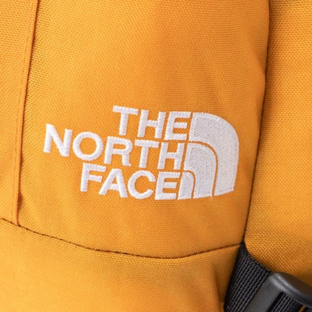 【残り一点】Kinkajou