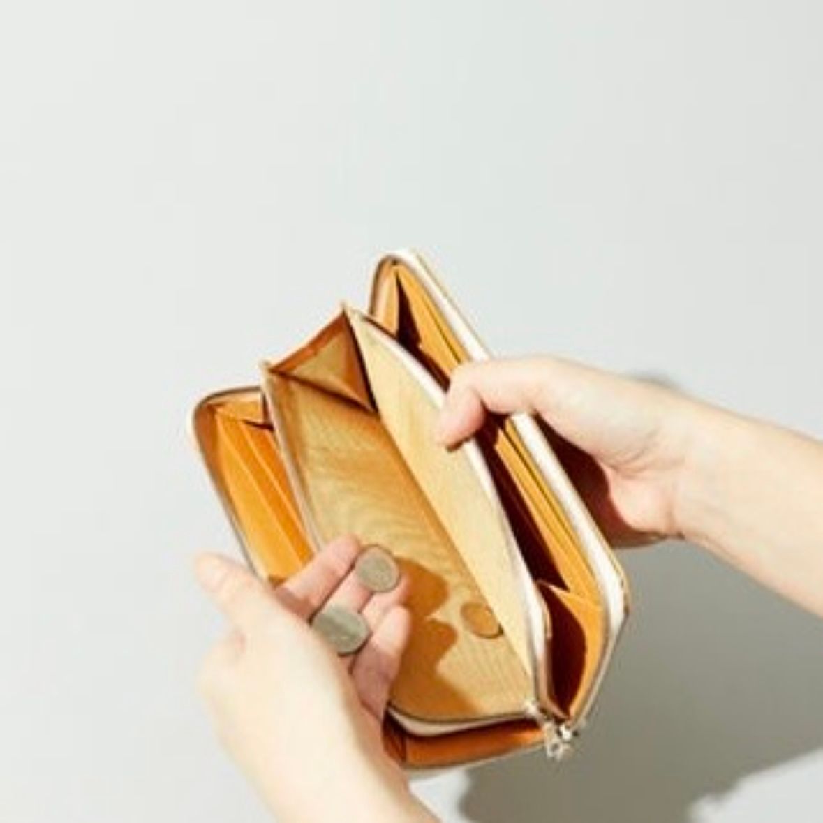 【残り一点】Minimal Long Purse(KIP)