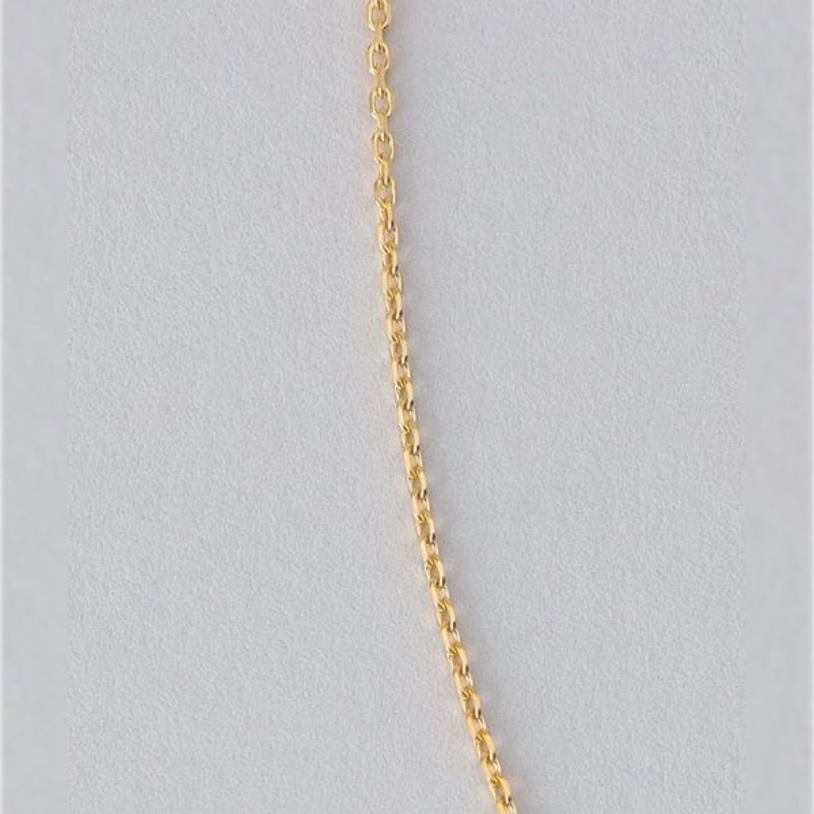 【お取り寄せ注文可能】Connect Necklace