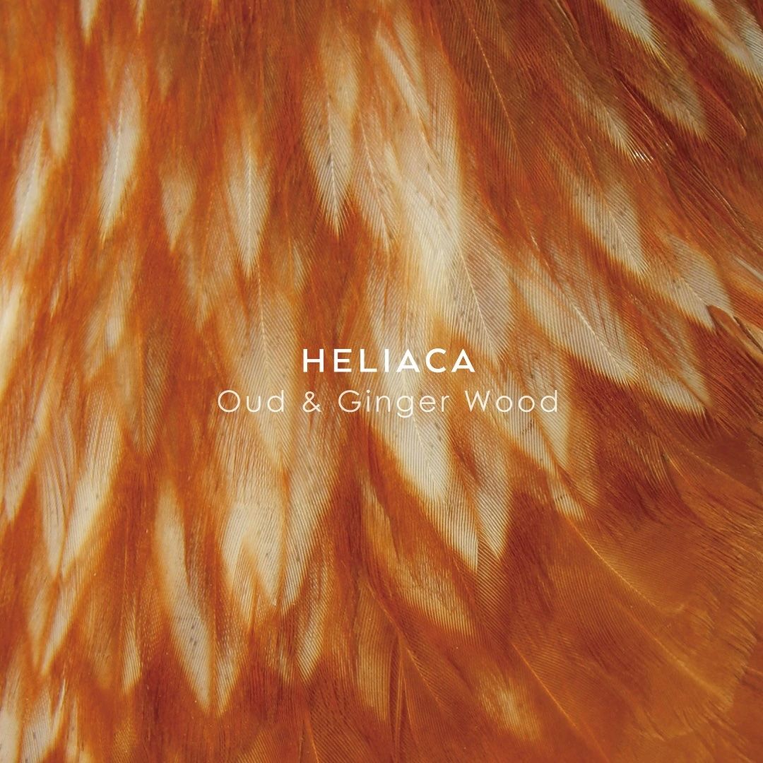 【残りわずか】シンギュラーオードパルファム 50ml(HELIACA)