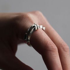 【お取り寄せ注文可能】Ring Double(SILVER)