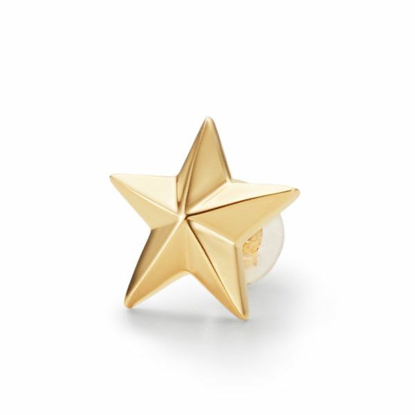 【お取り寄せ注文可能】K10 Star Pierce(GOLD)