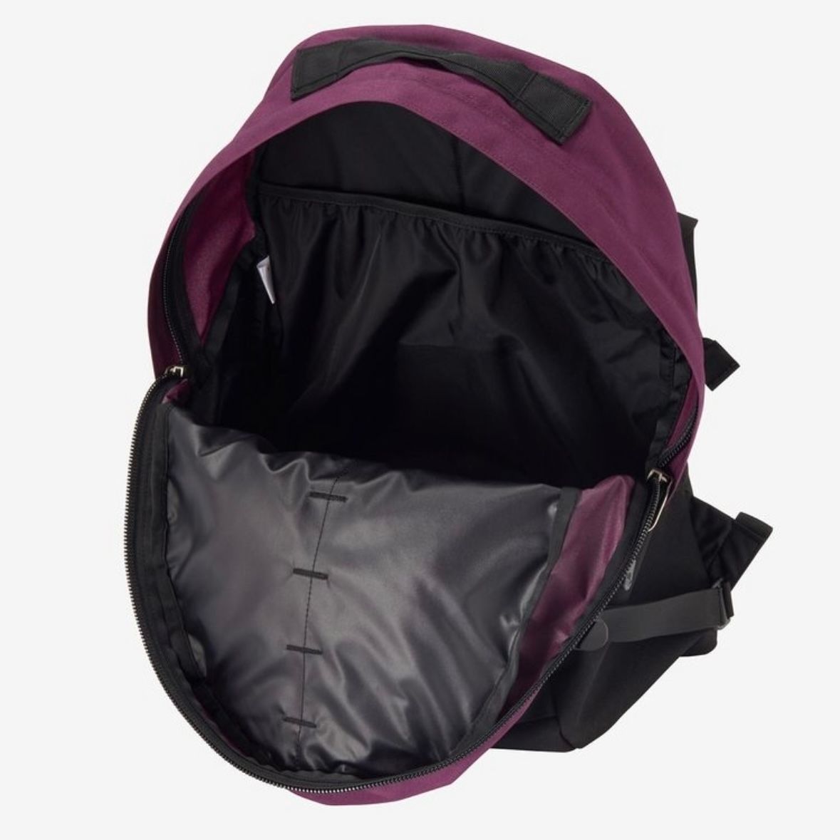 【残り一点】Kinkajou