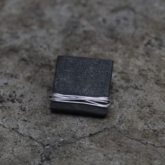 【お取り寄せ注文可能】Embed Silver Earring