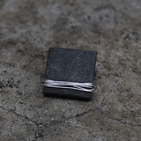 【お取り寄せ注文可能】Embed Silver Earring