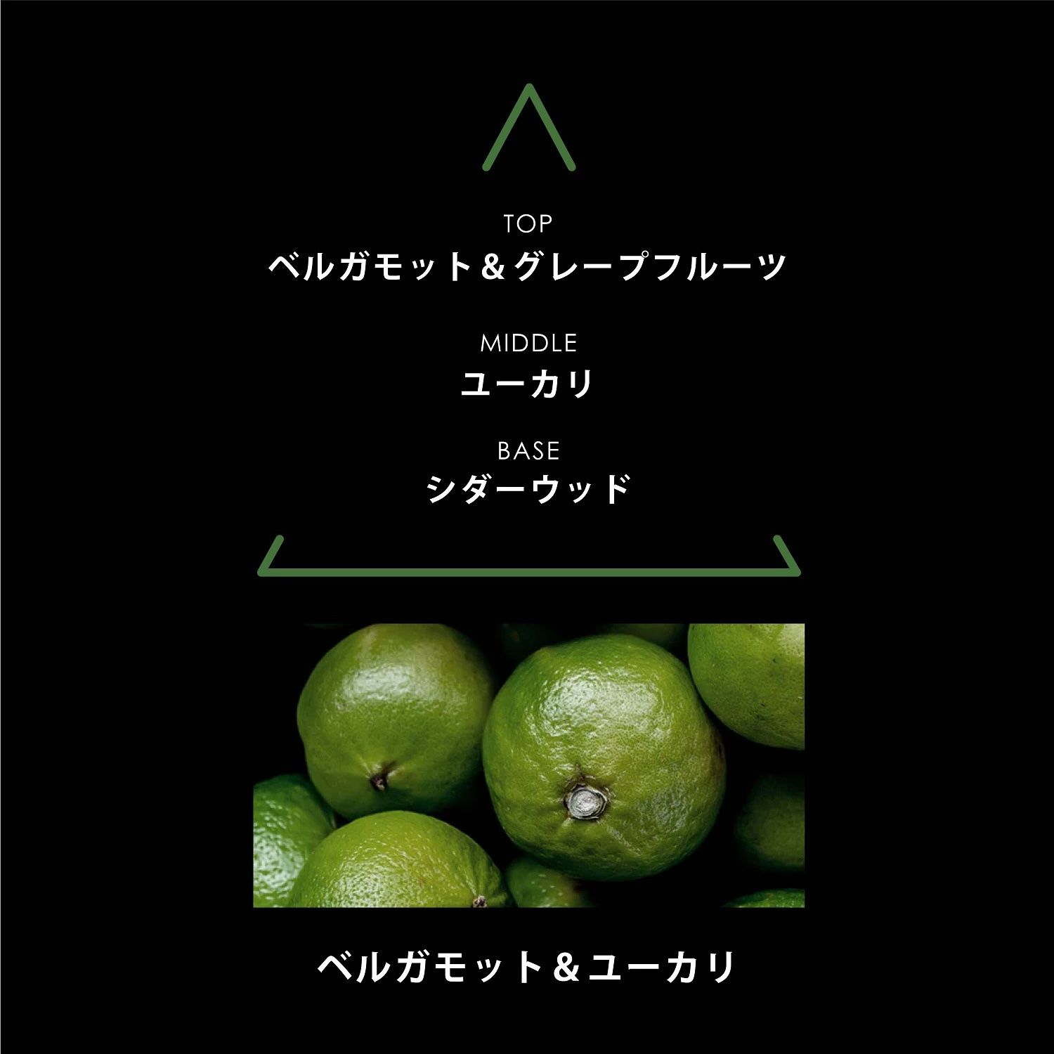 【残りわずか】リマーカブルパルファム 50ml(SANTA CRUZ)