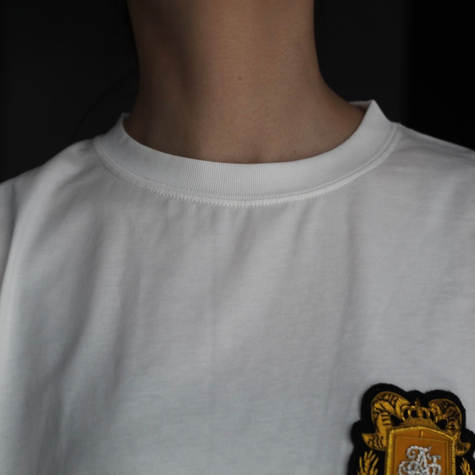 【残り一点】Emblem Tee