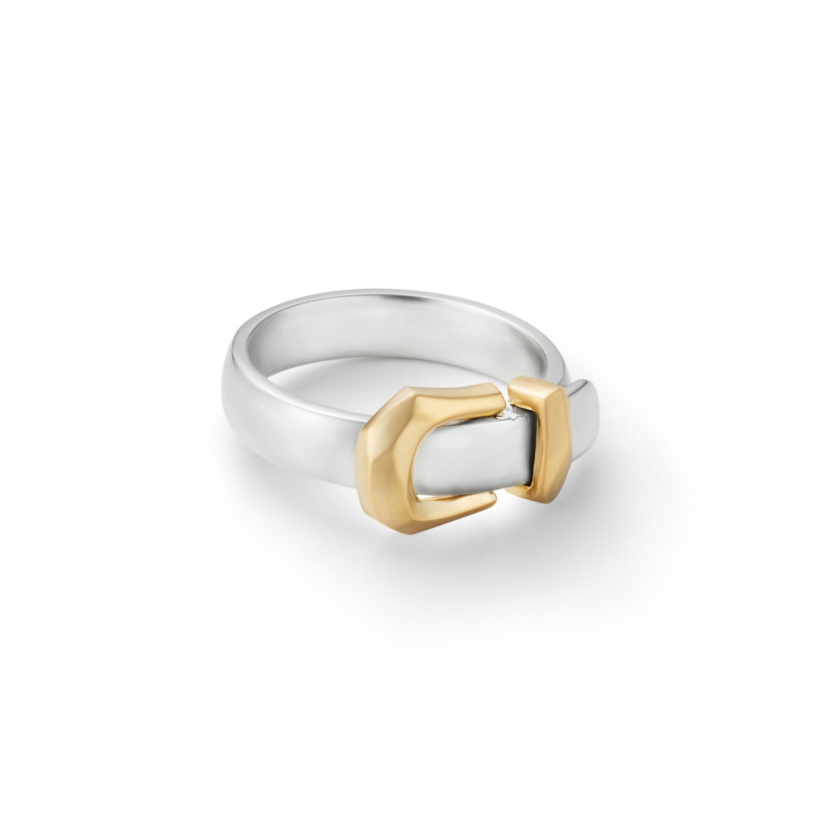 【お取り寄せ注文可能】Buckle Ring_S(SILVER×GOLD)