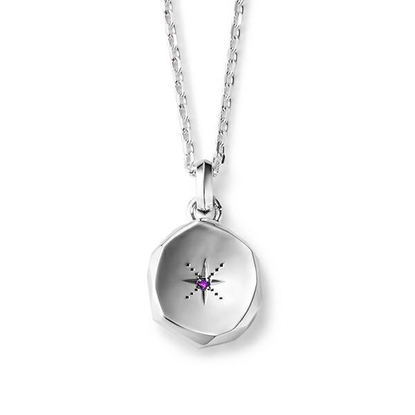 【お取り寄せ注文可能】Amulet Pendant_L(AMETHYST)