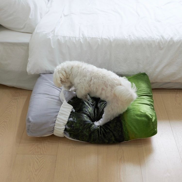 【残り一点】Jeju Orrum Pet Cushion