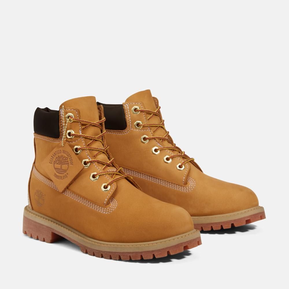 【残りわずか】6in Premium Boots WP(KIDS)