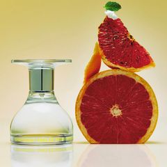 【残り一点】Eau De Parfum 50ml(GRAPEFRUIT BURLEE)