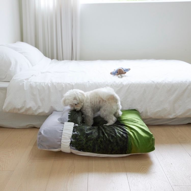 【残り一点】Jeju Orrum Pet Cushion
