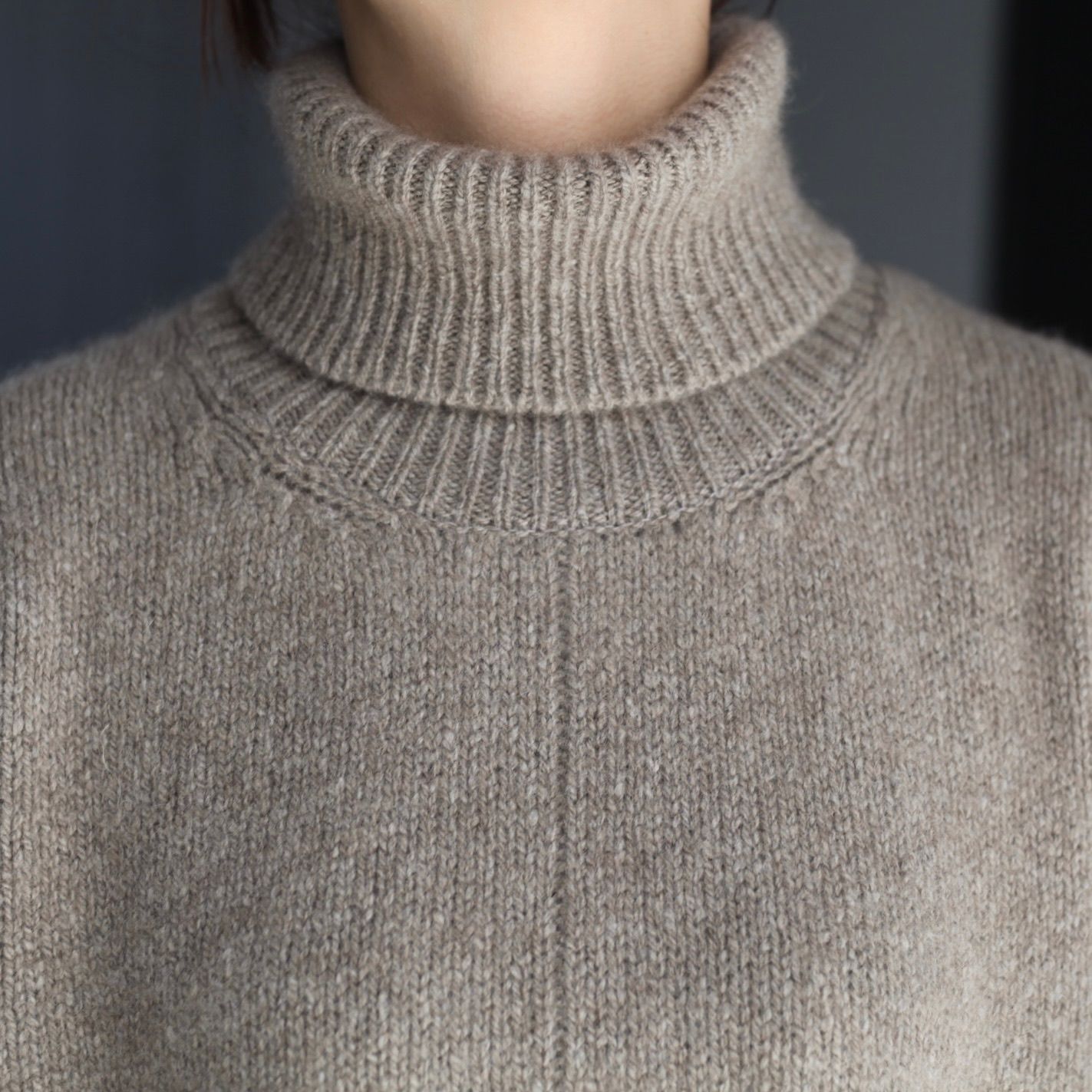 【残り一点】Cashmere/Sable Tweed Knit Turtle Neck LS