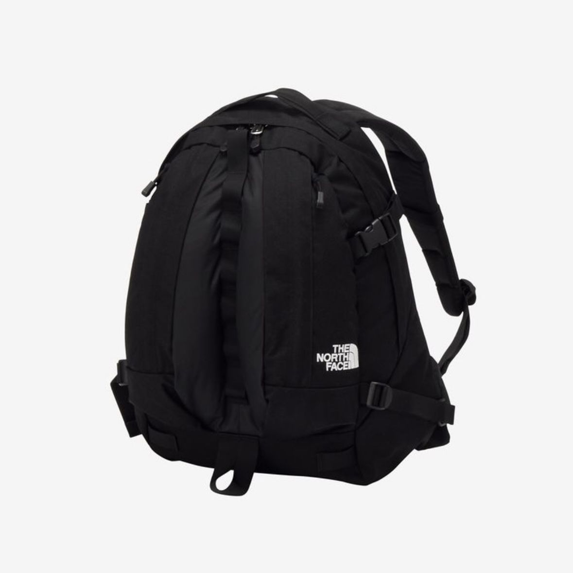 【残り一点】Kinkajou