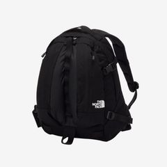 【残り一点】Kinkajou