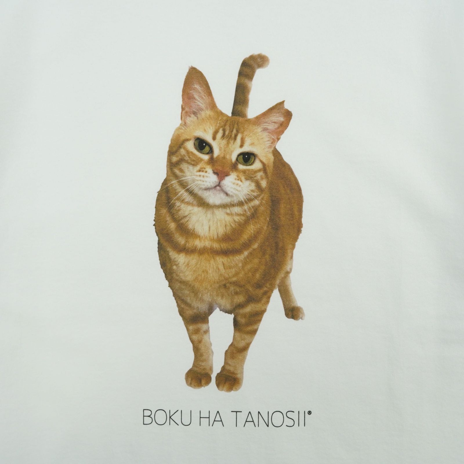【残り一点】Science Photo Tee(HOUSE CAT)