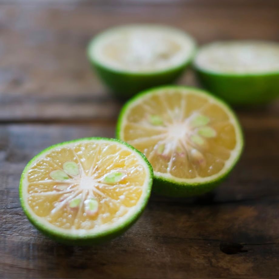 【残りわずか】Fragrance Incense(CREAMY FIG)