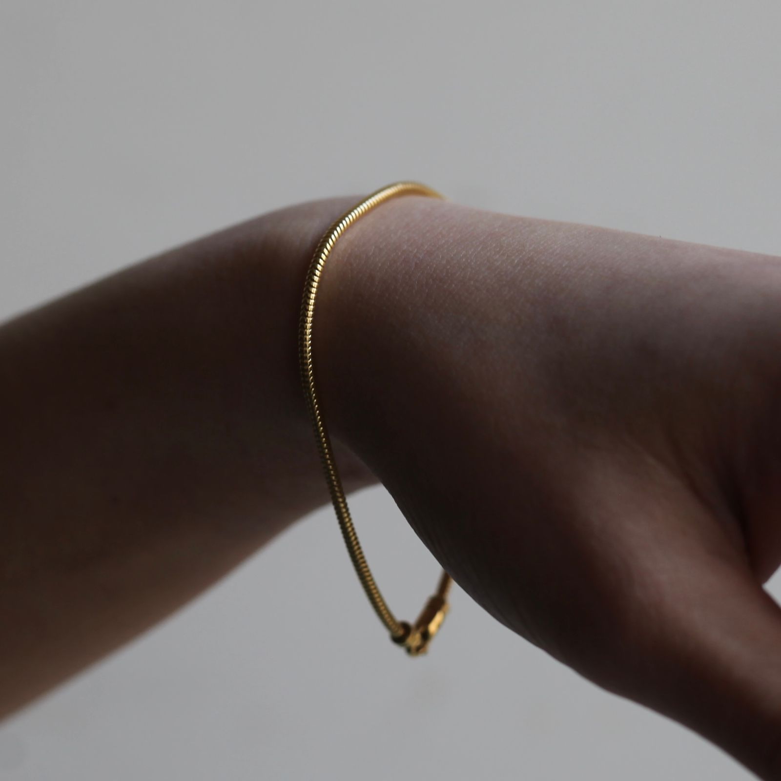 TOMWOOD - 【残り一点】Snake Bracelet Slim(GOLD) | ACRMTSM ONLINE STORE