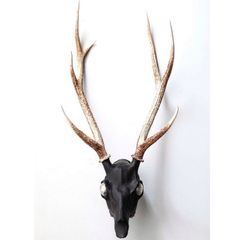 【お取り寄せ注文可能】Revive Deer Head