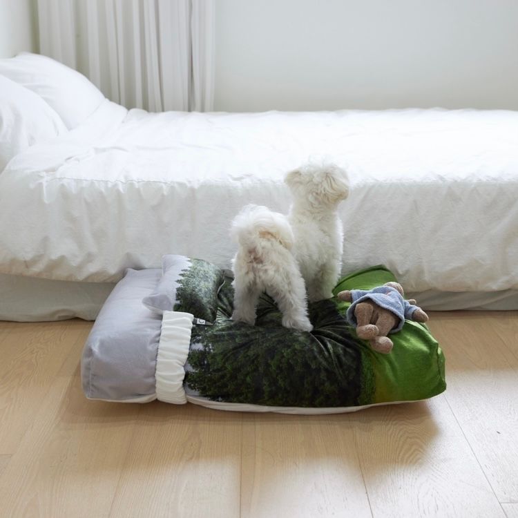 【残り一点】Jeju Orrum Pet Cushion
