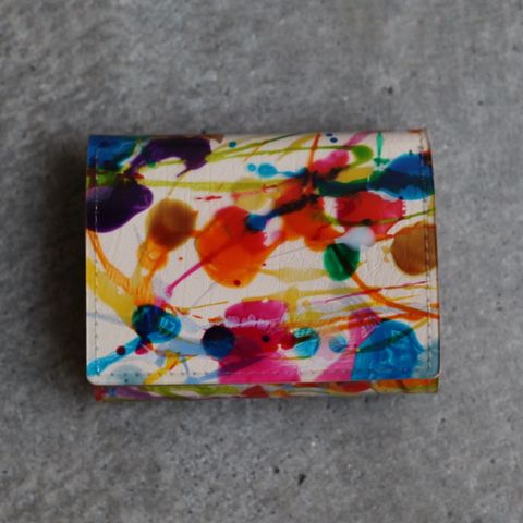 【残り一点】Paint Coin Case