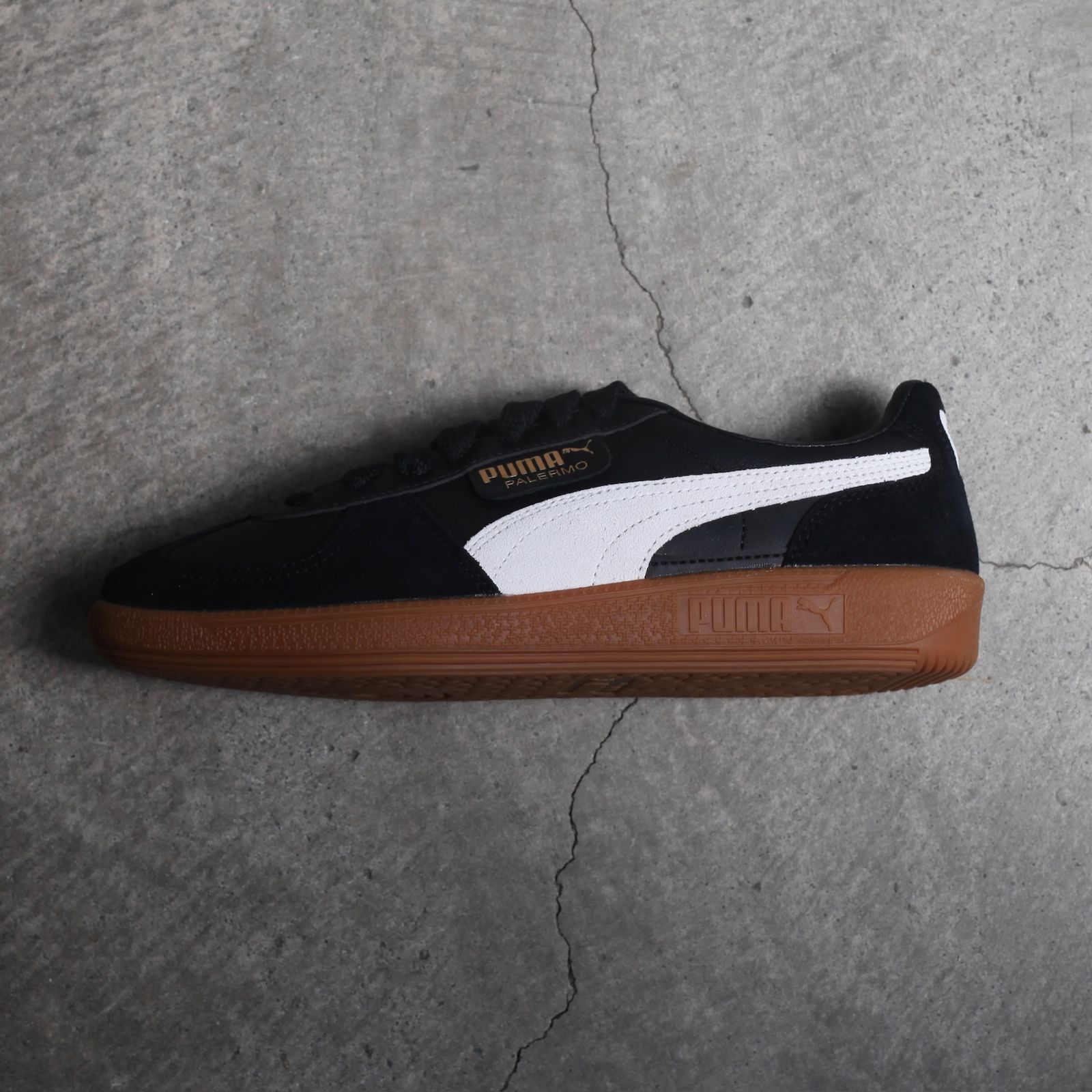 【残り一点】Palermo LTH