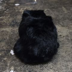 【お取り寄せ注文可能】Rabbit Fur Snood