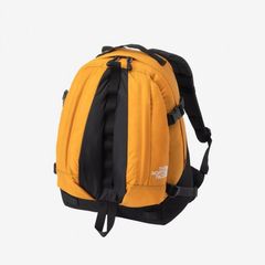 【残り一点】Kinkajou