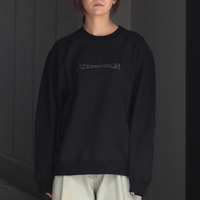【残り一点】Titan Sweatshirt Product. 45