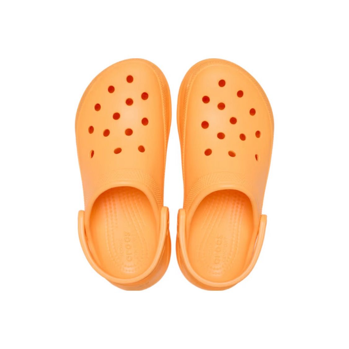 【残りわずか】Crocs Classic Bae Clog