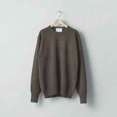 【残りわずか】Extra Fine Wool Knit Crew Neck LS