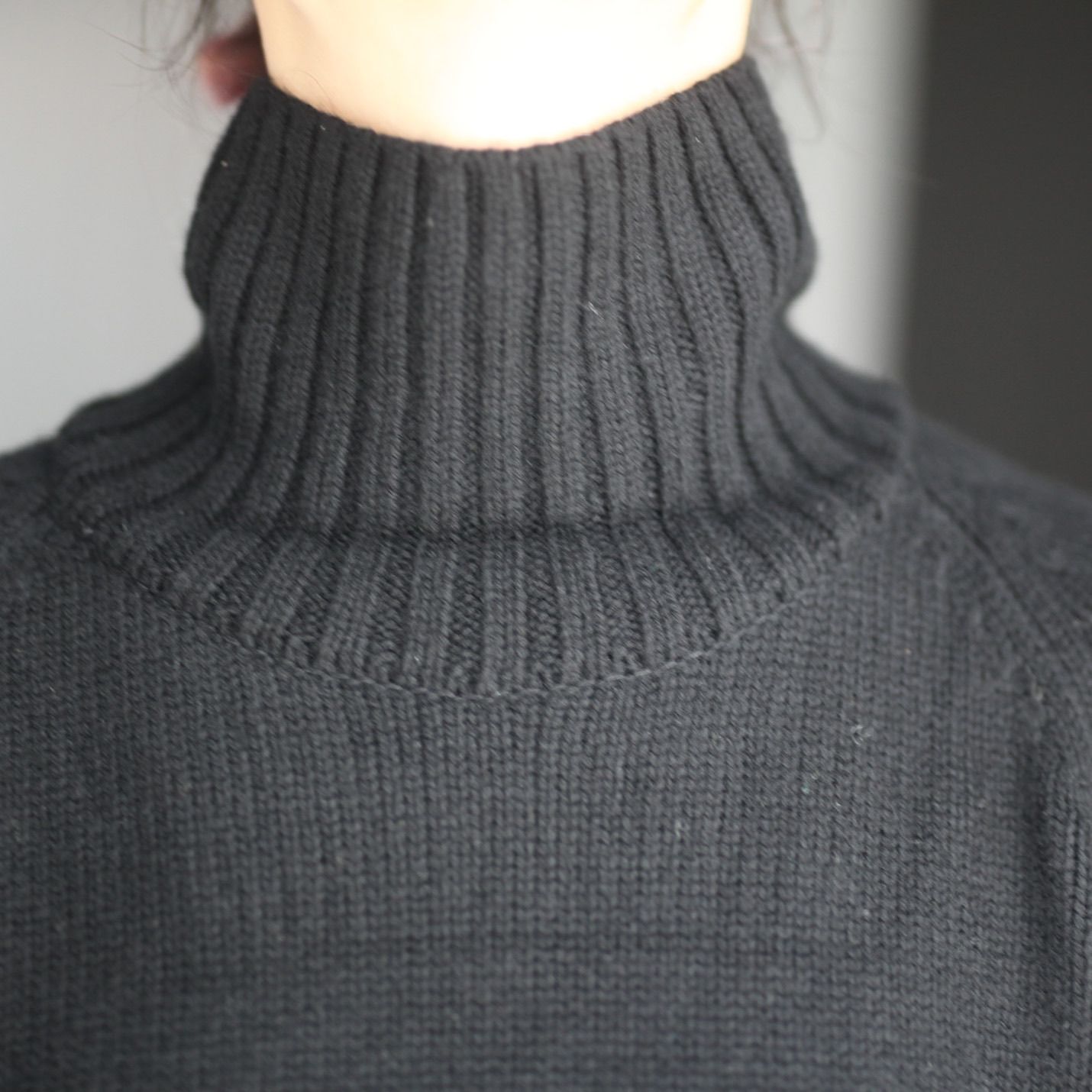 定期販売 - stein EX FINE LAMBS LOOSE HIGH NECK KNIT - 取扱No.1