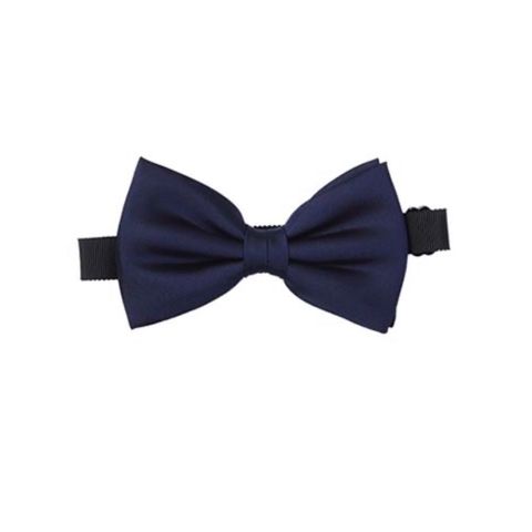 【残り一点】Silk Twill Bow Tie
