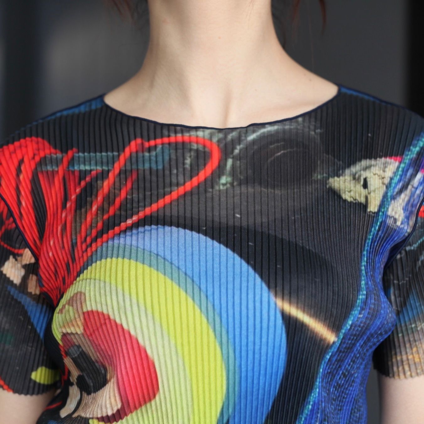 【残り一点】Sheer Graphic Top