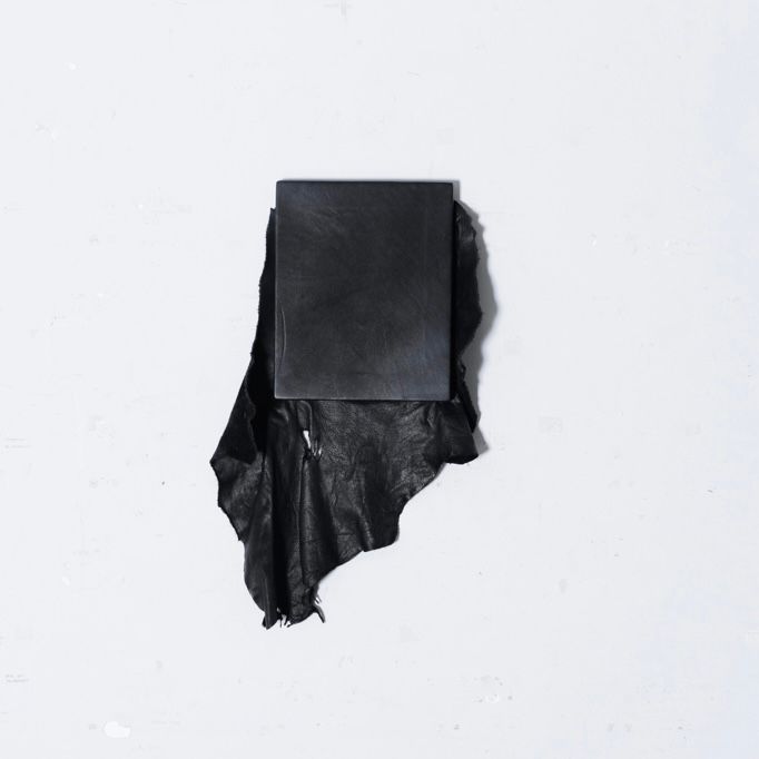 【お取り寄せ注文可能】Leather Picture(PREMATURE)