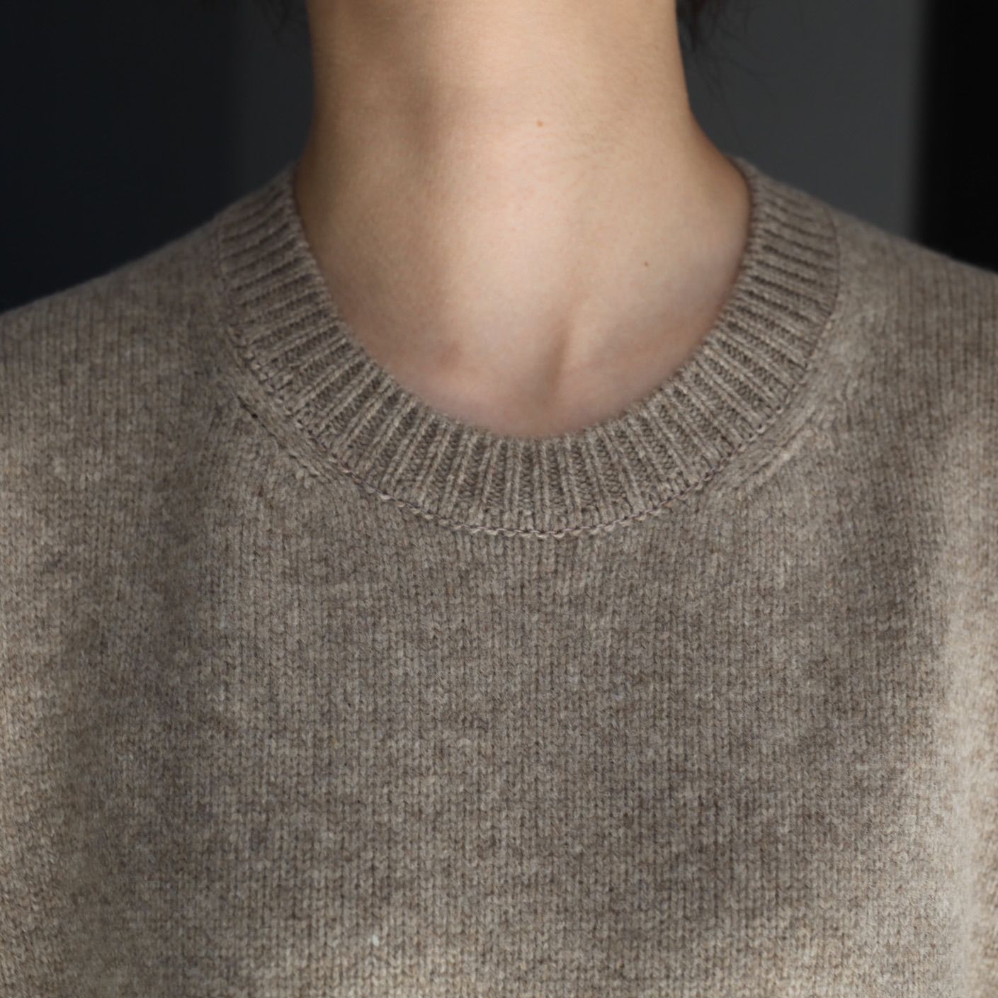 【残りわずか】Extra Fine Wool Warm Knit Crew Neck LS